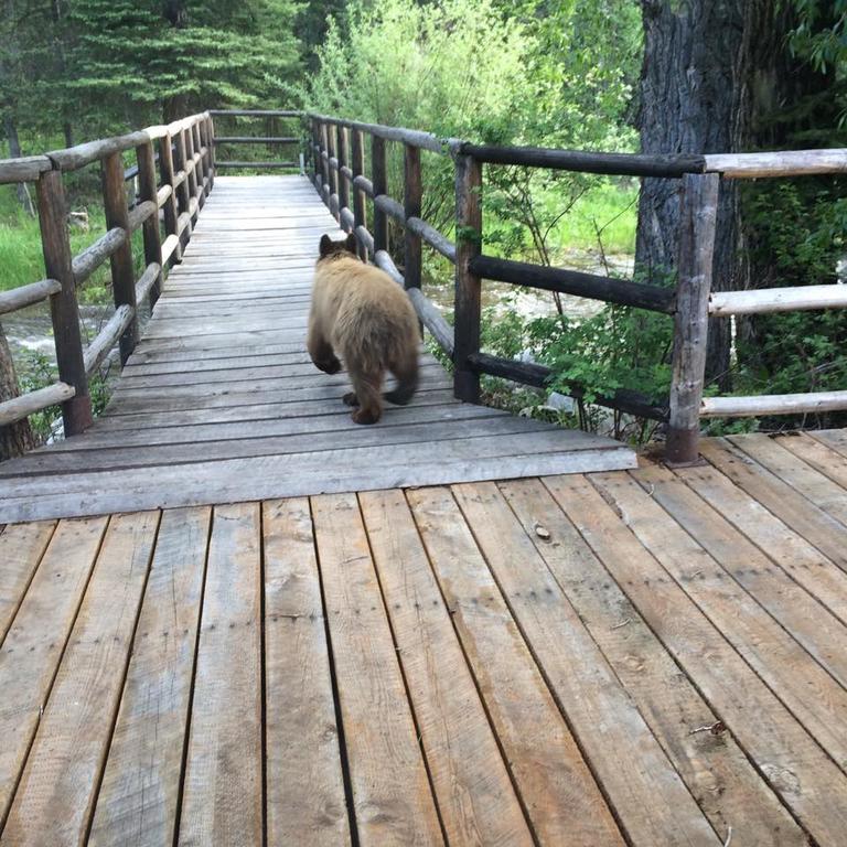 Medicine Bow Lodge Tenmile Екстер'єр фото
