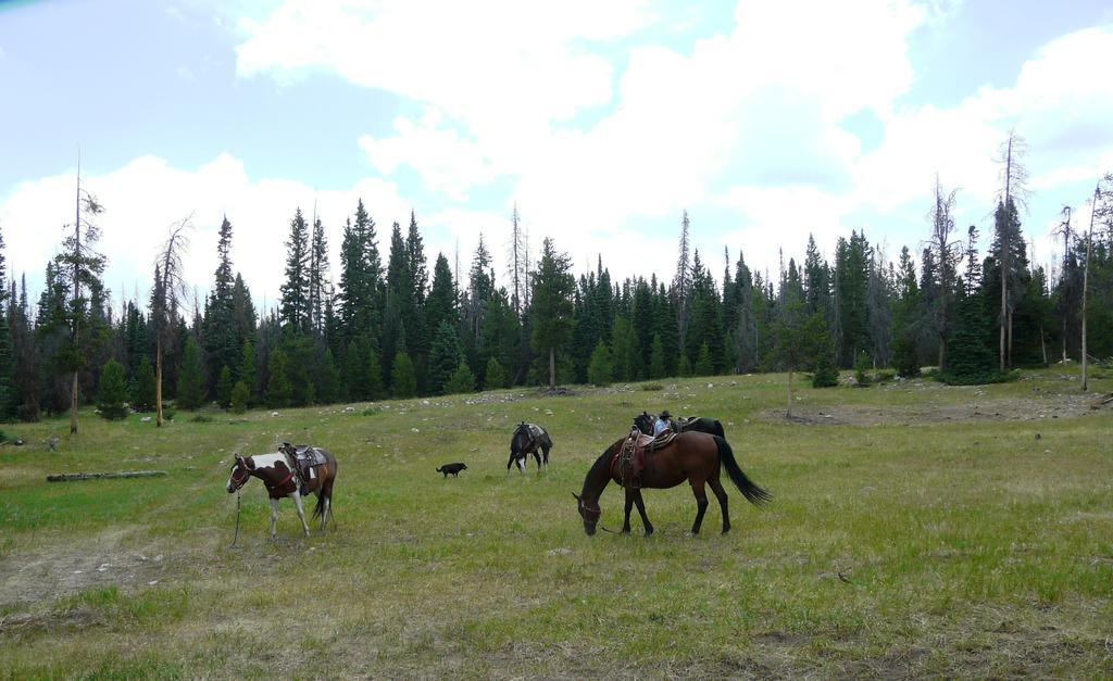 Medicine Bow Lodge Tenmile Екстер'єр фото