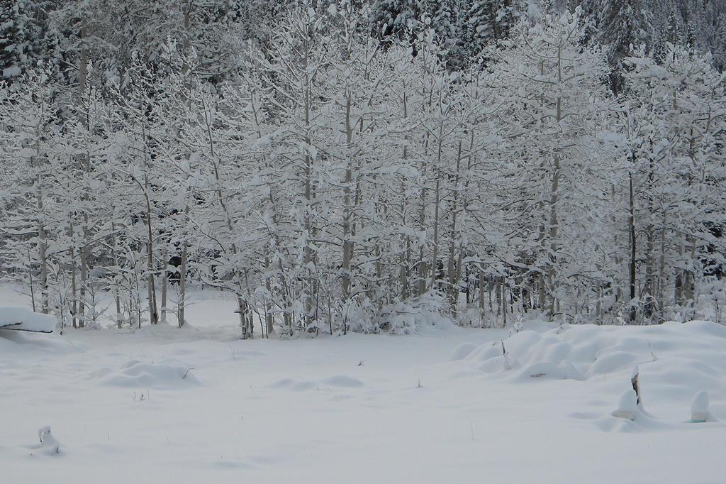 Medicine Bow Lodge Tenmile Екстер'єр фото